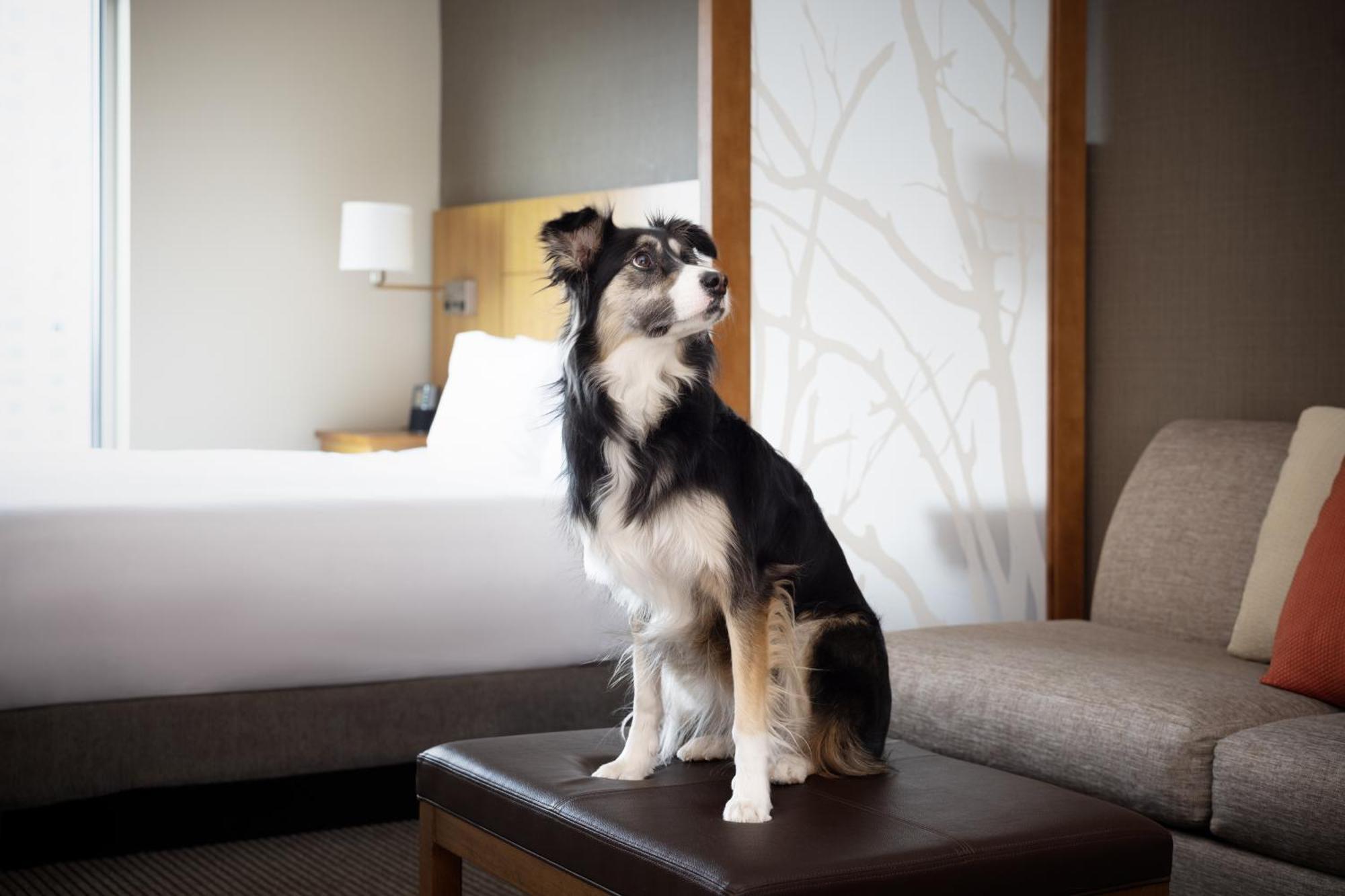 Hyatt Place Denver Downtown Eksteriør bilde
